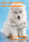 Un chiot aux doux souvenirs pour maman